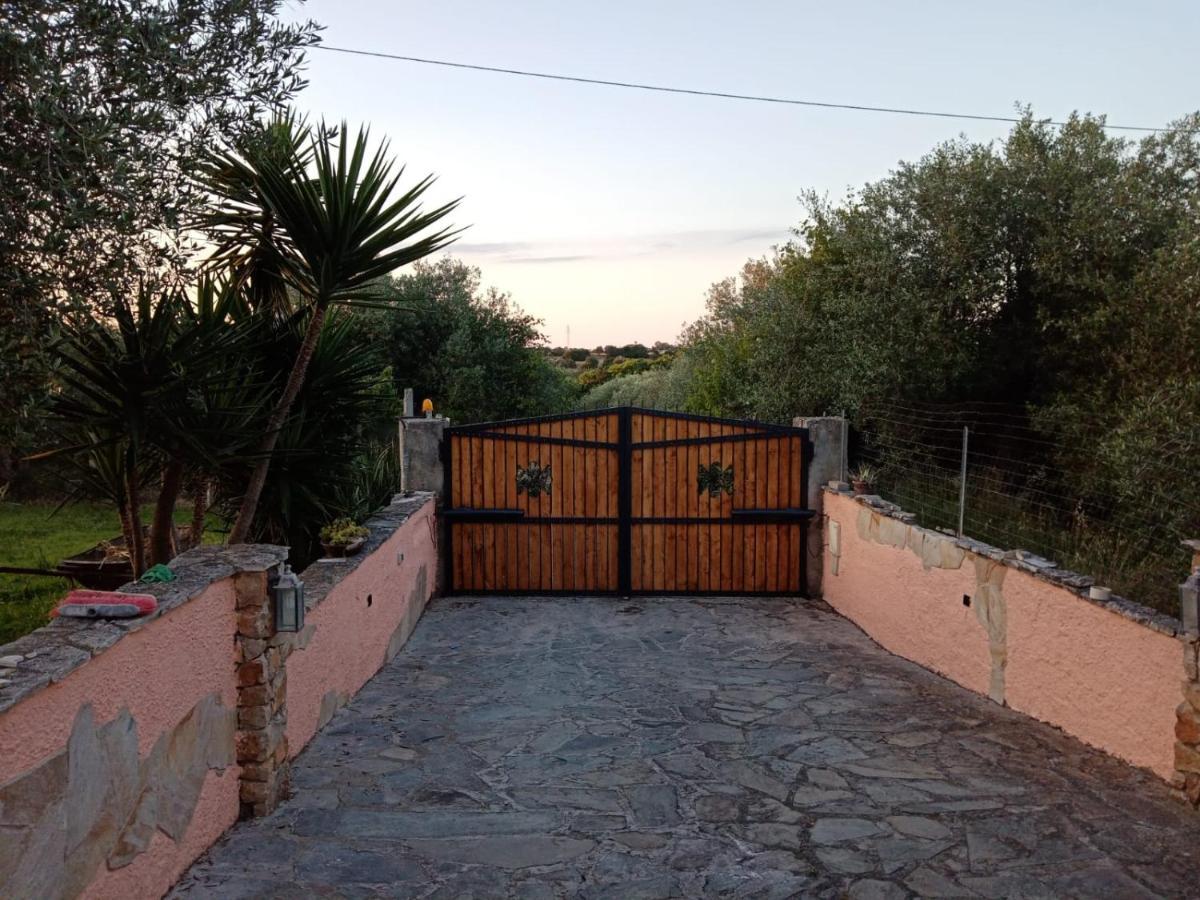 Villa Relax Tra Gli Ulivi Alghero Exteriör bild