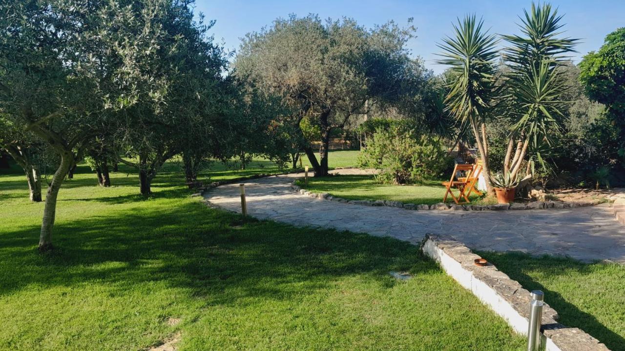 Villa Relax Tra Gli Ulivi Alghero Exteriör bild