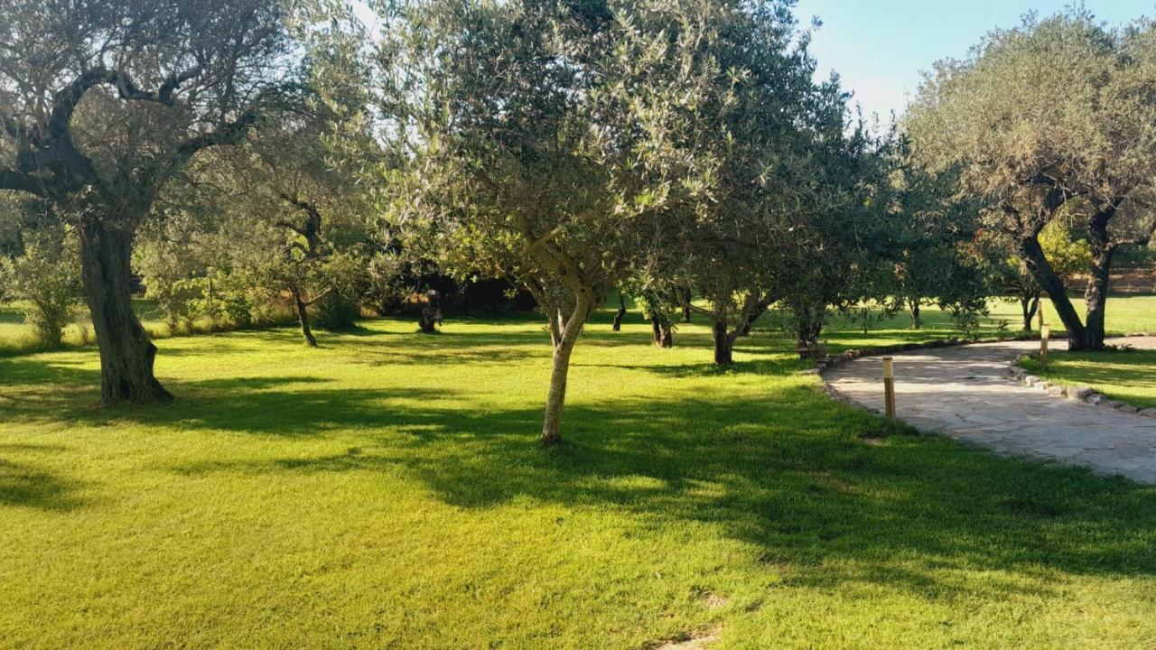 Villa Relax Tra Gli Ulivi Alghero Exteriör bild
